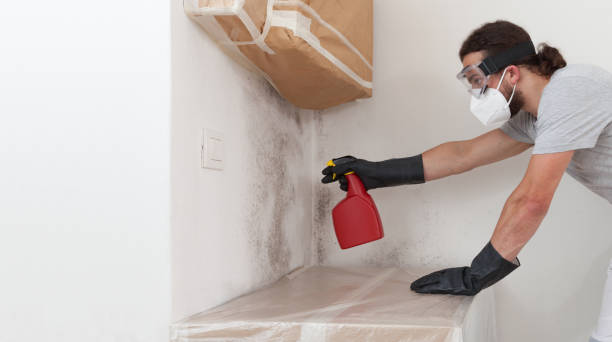 Professional Mold Cleanup technician working in Glenwood Landing, NY